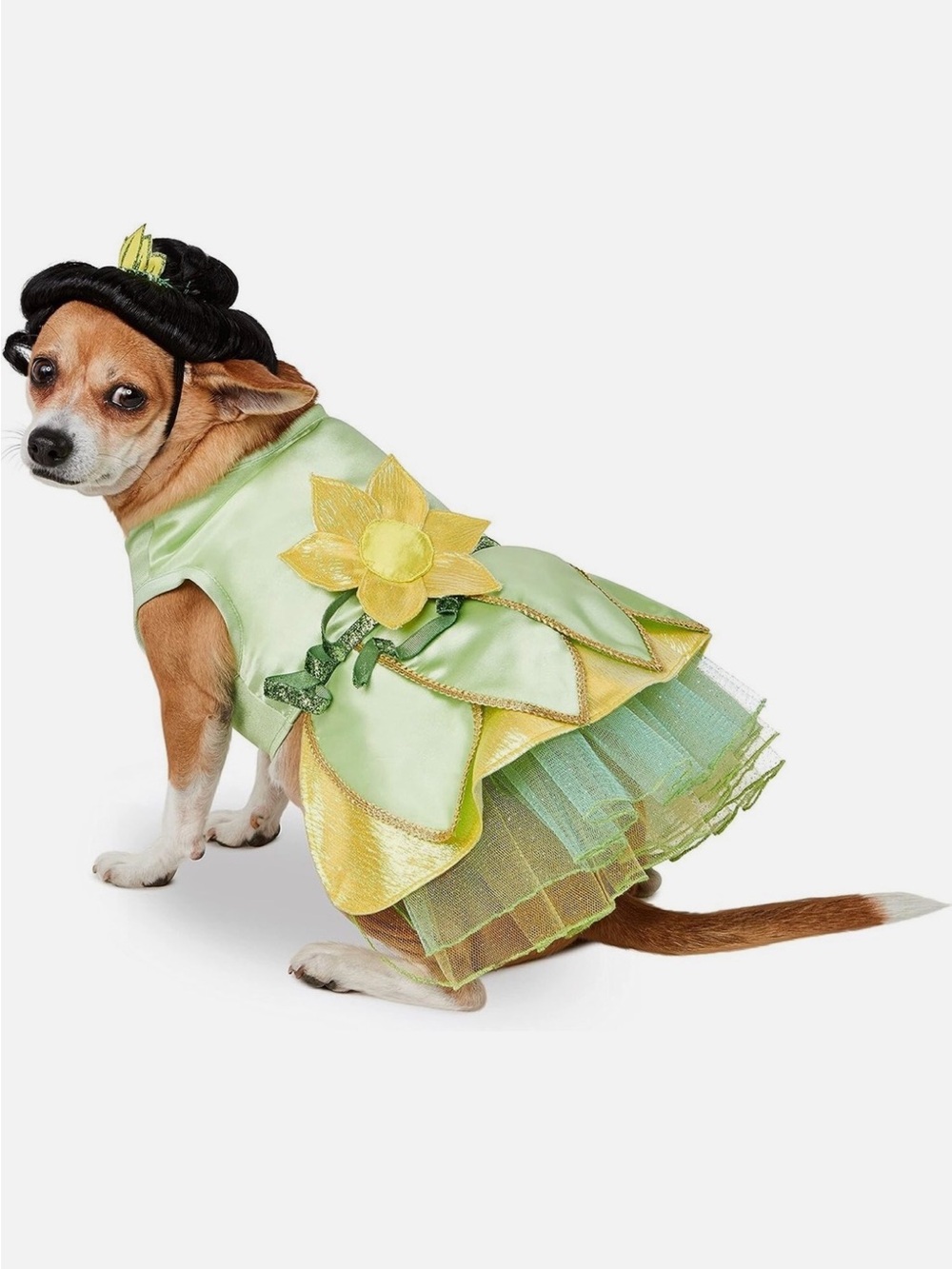 Disney Tails Princess Tiana Costume Size Large